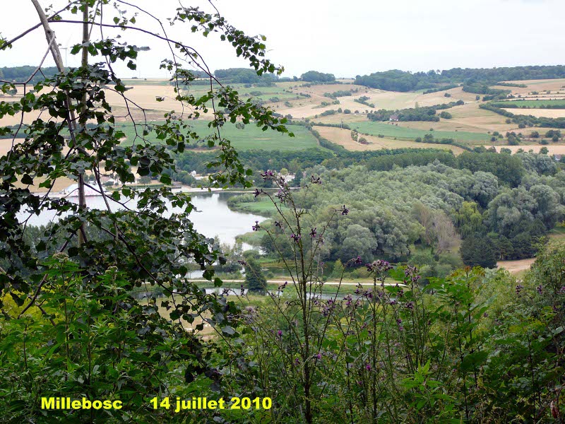 136_07 Millebosc.jpg
